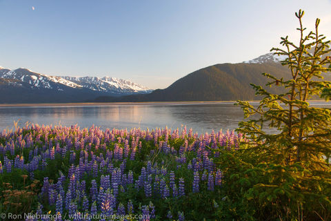 Turnagain Arm