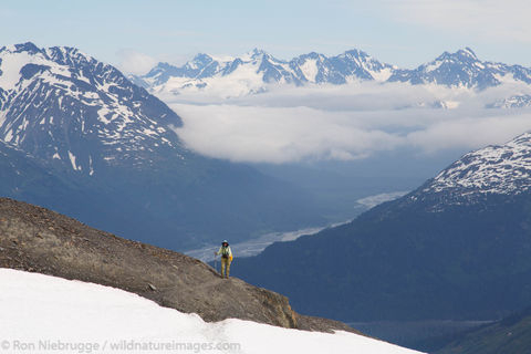 Harding Icefield