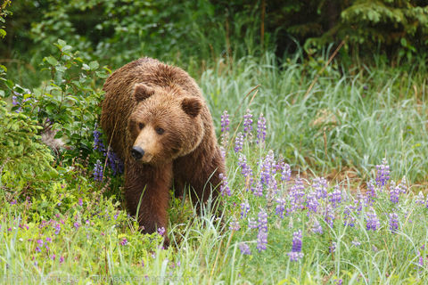 Lake Clark National Park