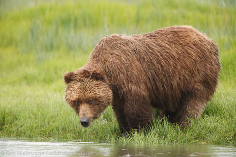 Lake Clark National Park