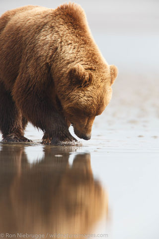 Lake Clark National Park