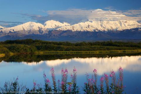 Denali National Park
