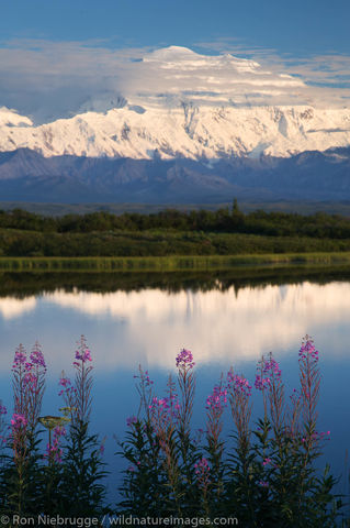 Denali National Park