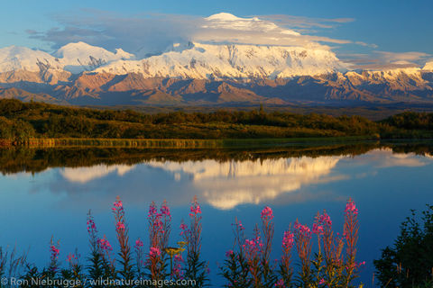 Denali National Park