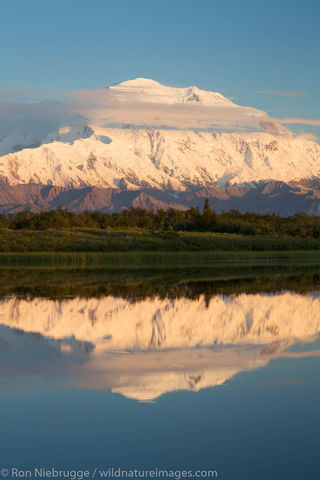 Denali National Park