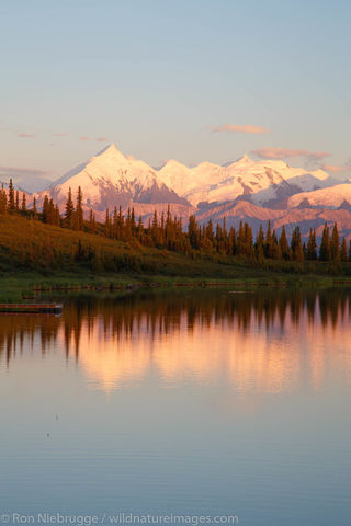 Denali National Park