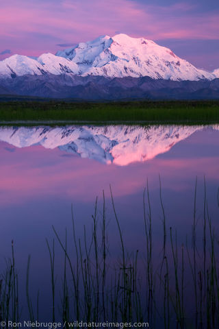 Denali Reflection