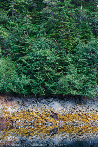 Prince William Sound