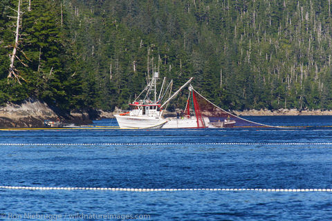 Commercial Salmon Fishing