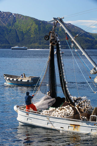 Commercial Salmon Fishing