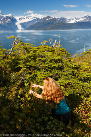 Hiking, Prince William Sound