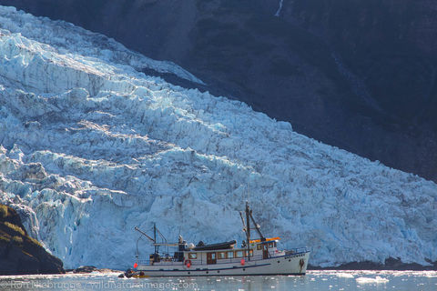 M/V Discovery