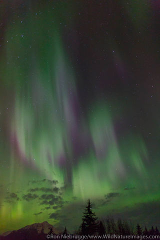Aurora Borealis