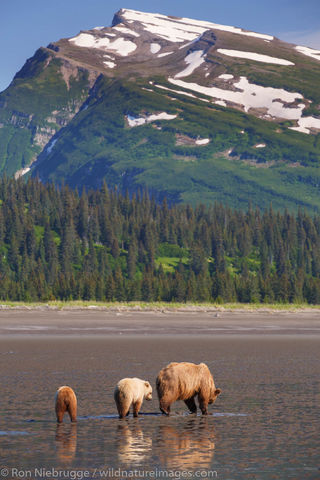 Lake Clark National Park