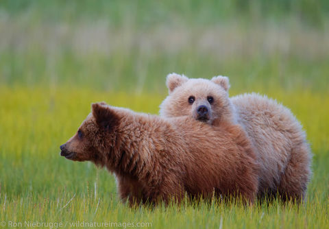 Lake Clark National Park