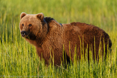 Lake Clark National Park