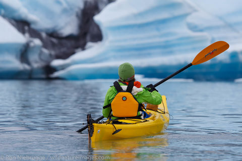 Bear Glacier Lagoon