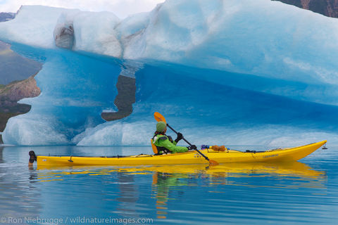Kayaking in Bear Glacier Lagoon