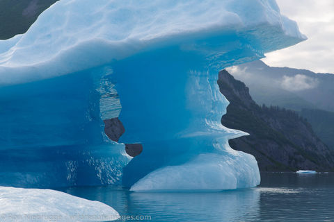 Icebers in Bear Glacier Lagoon