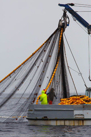 Commercial fishing boats 