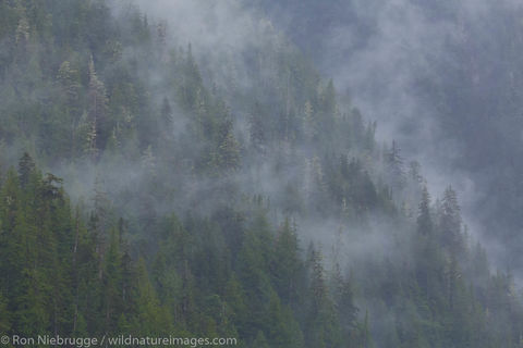 Misty Fiords National Monument