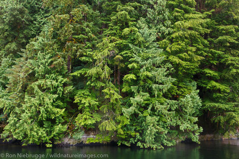 Misty Fiords National Monument