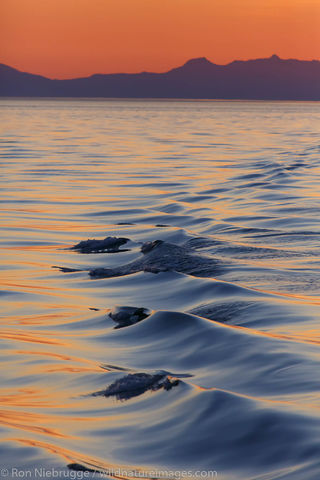 Sunset, Tongass National Forest