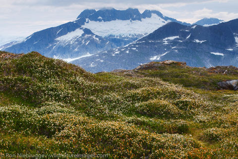 Tongass National Forest