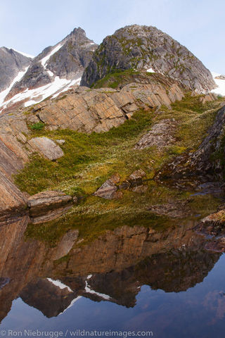 Tongass National Forest