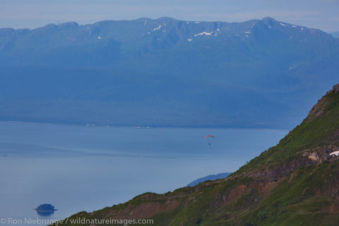 Tongass National Forest
