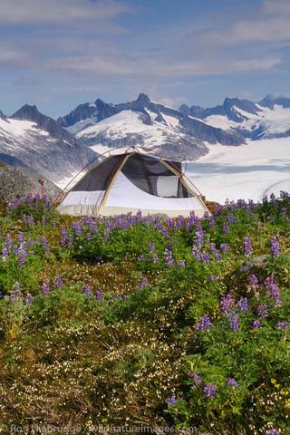 Camping above the Mendenhall Glacier