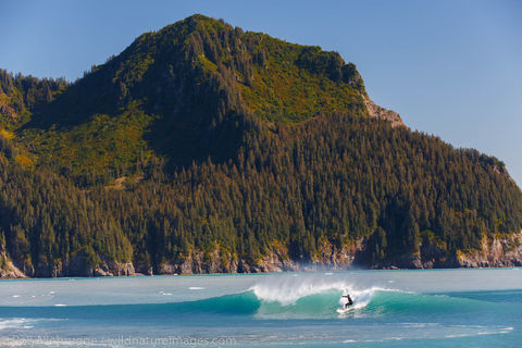 Surfing in Alaska