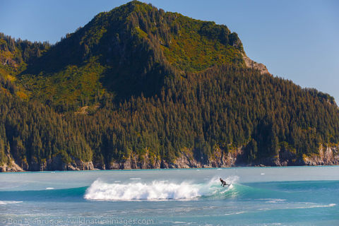 Surfing in Alaska