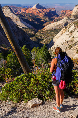 West Rim Trail, Zion National Park, Utah