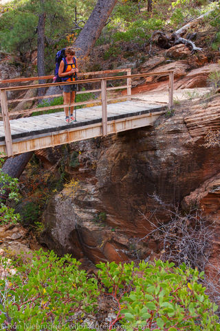 West Rim Trail, Zion National Park, Utah