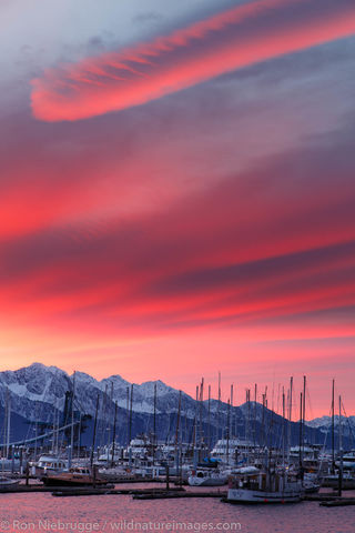 Sunrise, Seward Small Boat Harbor