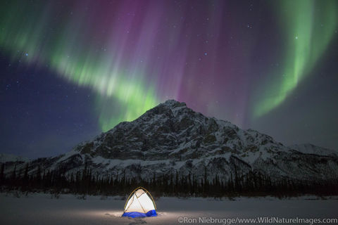 A tent under the Aurora Borealis