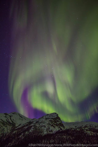 Aurora Borealis