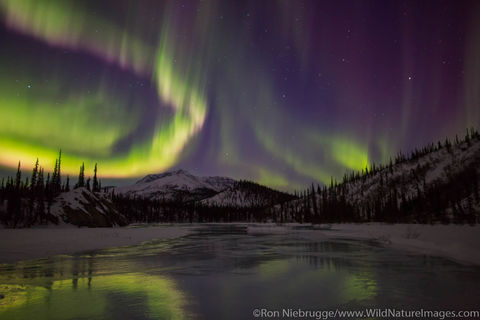 Aurora Reflection