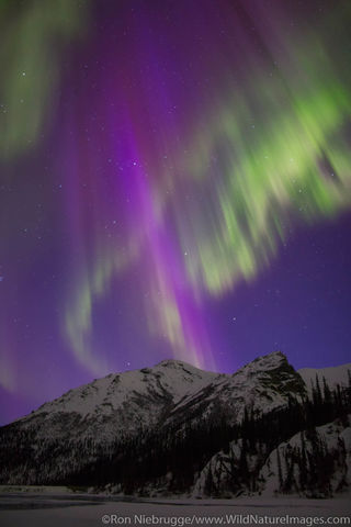 Aurora Borealis