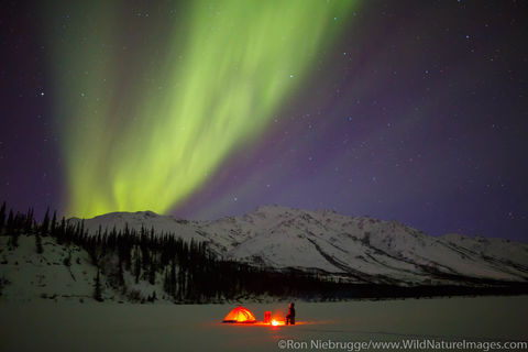 Aurora Borealis Camping