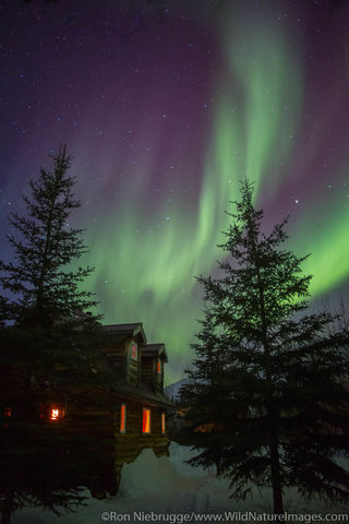 Aurora Borealis