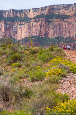 South Kaibab Trail