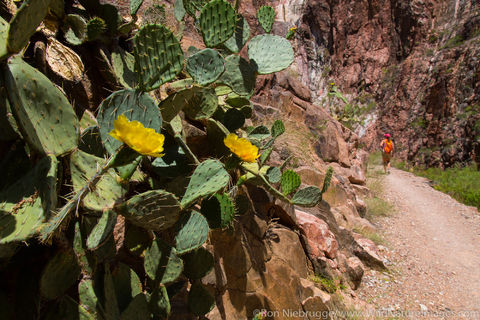 Hiking North Kaibab Trail