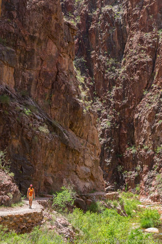 Hiking North Kaibab Trail