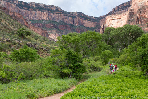 Hiking Bright Angel Trail