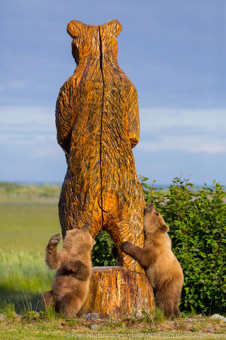 Back Scratching Bear