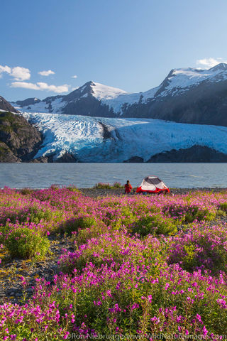 Tent Camping