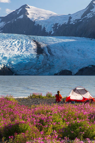 Tent Camping