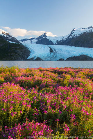 Portage Glacier